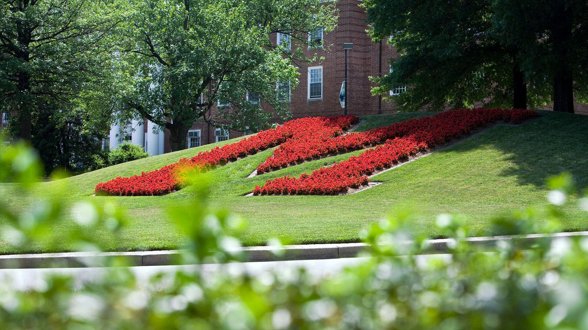 iconic campus drive M-circle