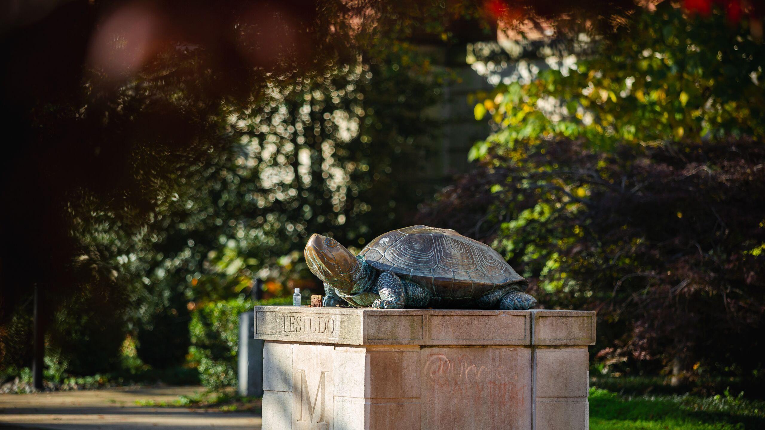 Testudo iconic statue on UMD South Campus