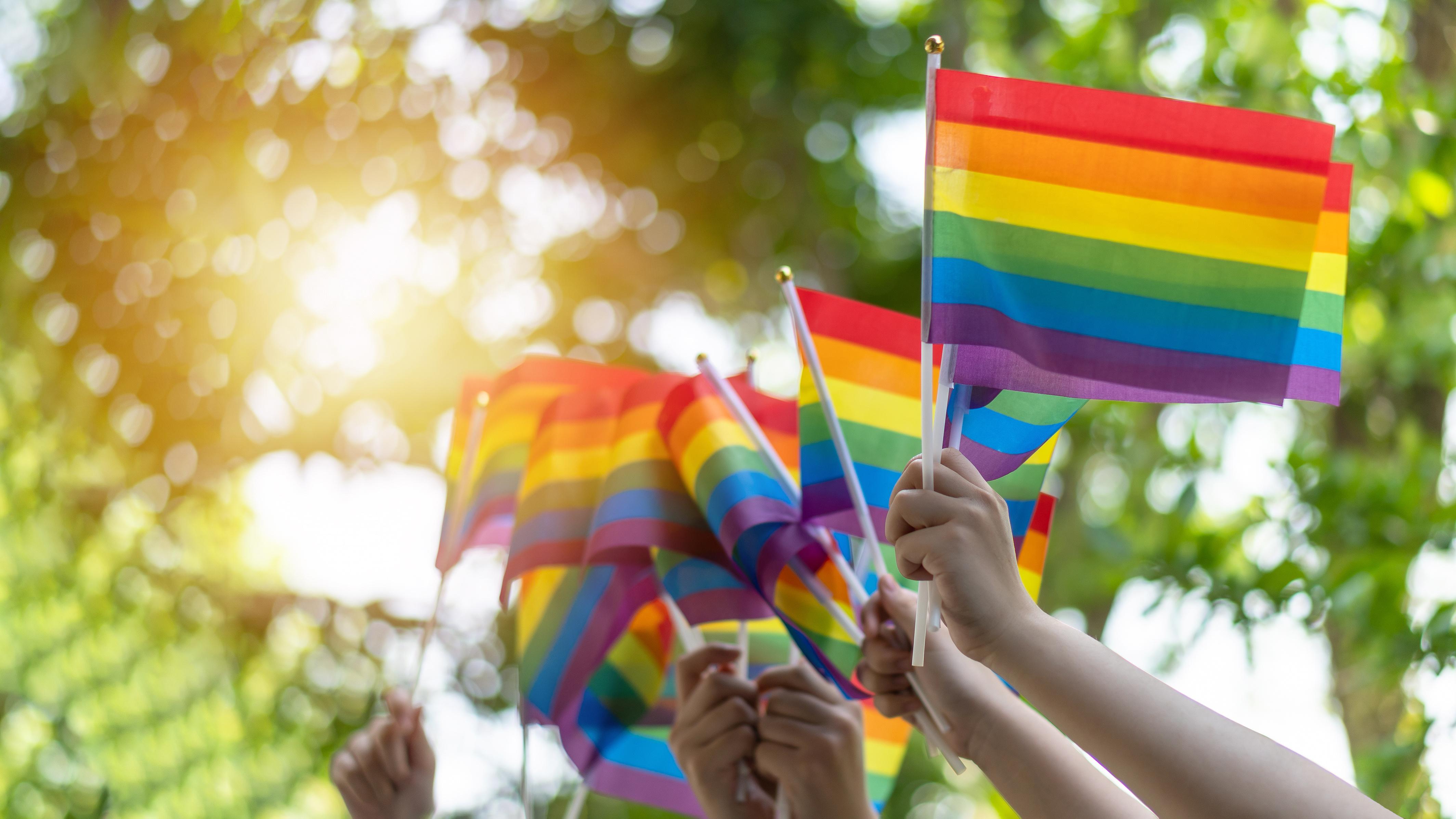 Pride flags waving with trees in the background