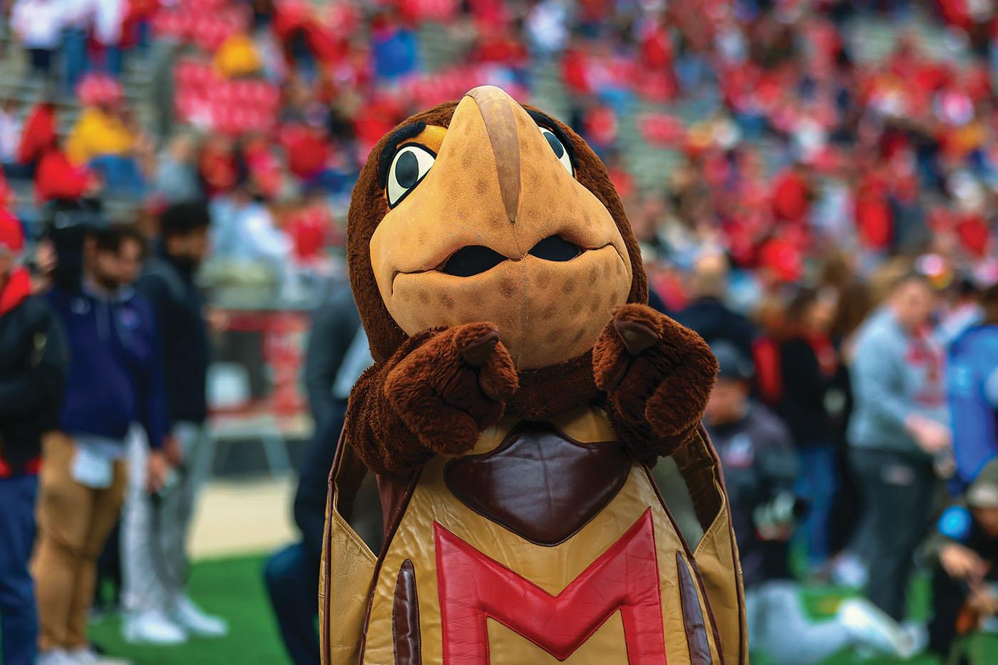 testudo umd mascot at football game