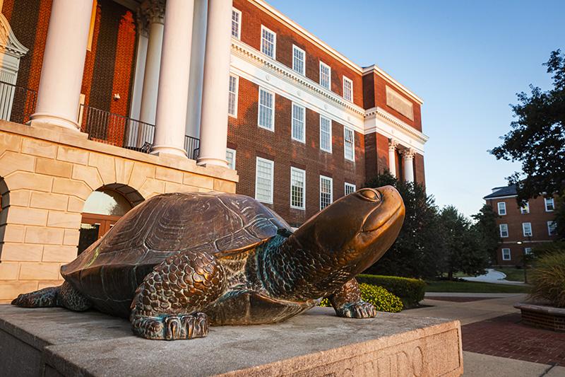 south campus testudo statue at sunrise