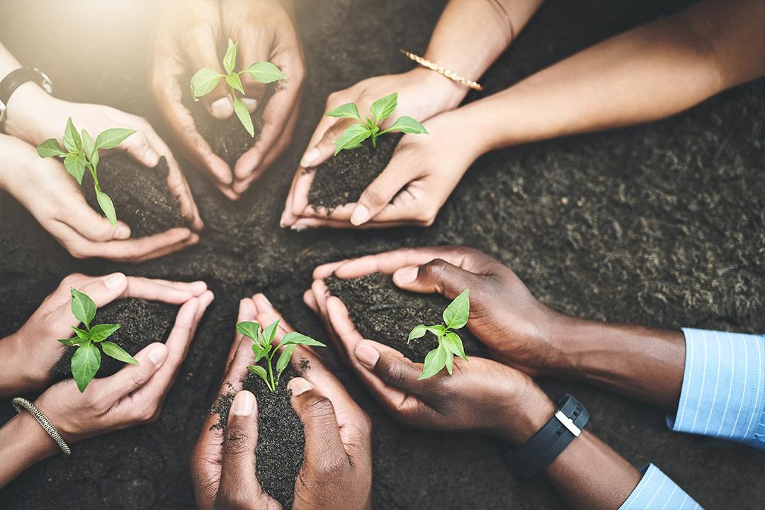 hands holding soil and seedling fostering growth