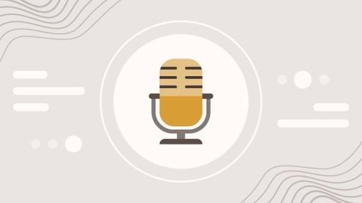 illustrated microphone